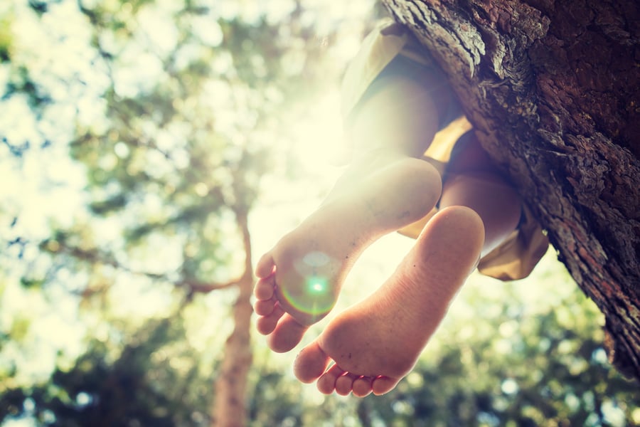 child's dangling feet while sitting on a tree