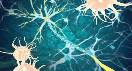 Understanding Idiopathic Polyneuropathy: A Guide for Patients