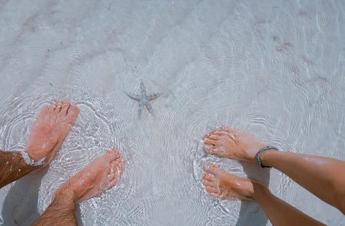Sweeney Foot & Ankle Summertime Foot Care Two Pair of Feet in Shallow Water with White Sand and Starfish